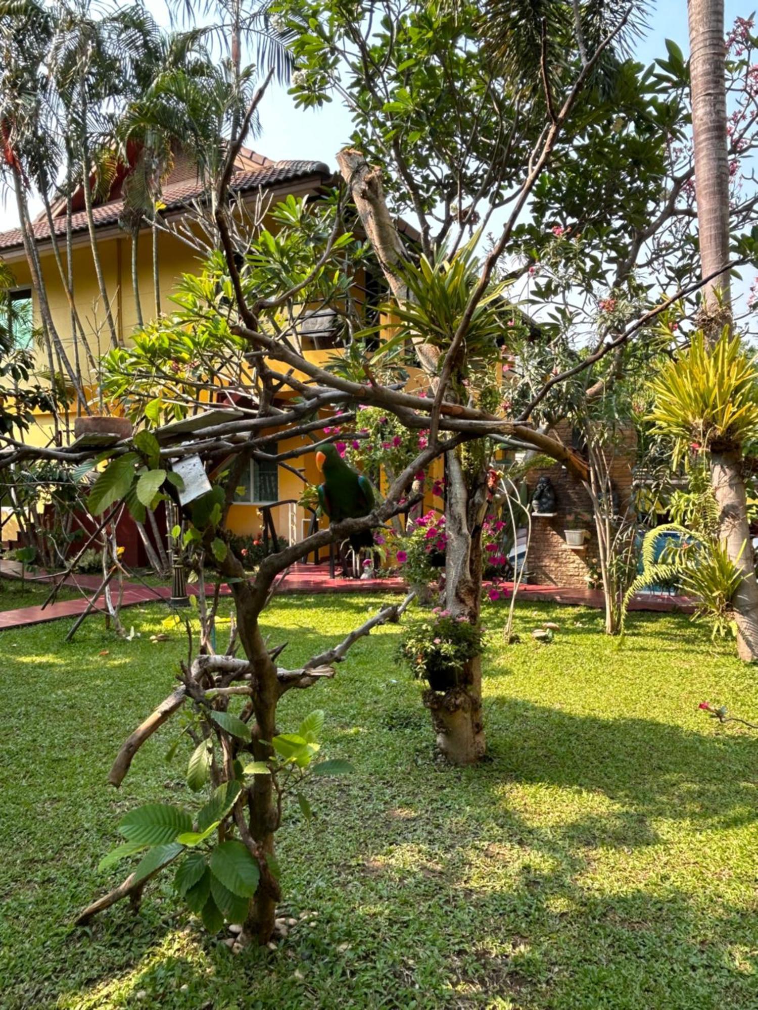 Lamduan Boutique Homestay Čiang Mai Exteriér fotografie